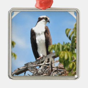 Osprey-Verzierung Silbernes Ornament