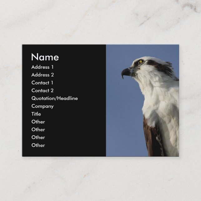 Osprey Visitenkarte (Vorderseite)