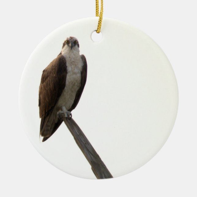 Osprey-Vogel-Ornament  Keramik Ornament (Vorne)