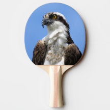 Osprey - Vogel - Ping Pong Paddle