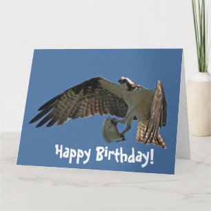 Osprey-Vogel-u. Fisch-Geburtstags-Gruß-Karte Karte