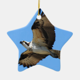 Osprey-Vogel-Verzierung Keramik Ornament