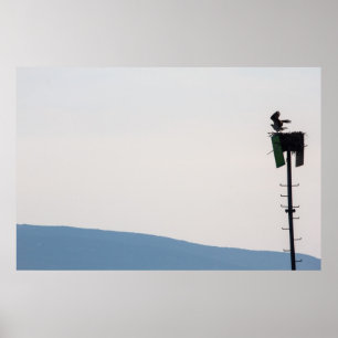 Osprey vor der Mount Desert Island, Maine Poster