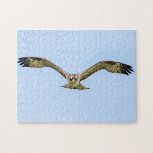 Osprey während des Fluges Puzzle