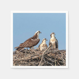 Ospreymamma mit ihren Kindern Serviette