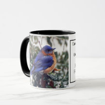 Ost-Bluebird-Tasse mit Identifikation