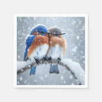 Ost-Bluebirts im Schnee