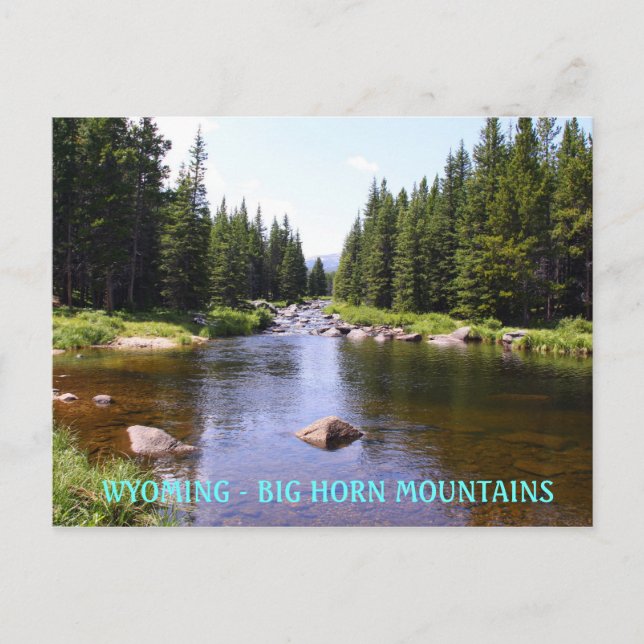 Ost Gänse, WYOMING - GROSSE HORN MOUN... Postkarte (Vorderseite)