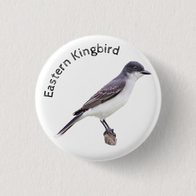 Ost-Kingbird Button (Vorderseite)