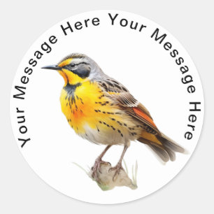 Ost-Meadowlark Runder Aufkleber