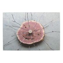 Ost-Rote-Zederngruppe Öko-Art zentriert