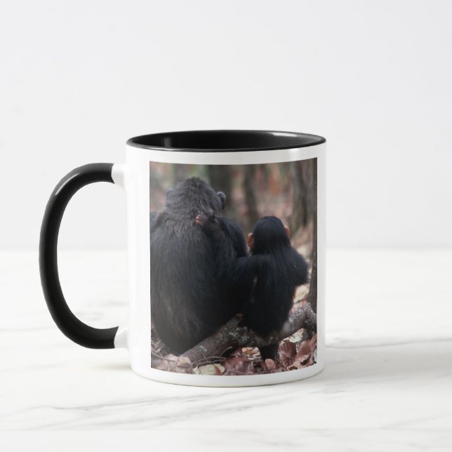 Ostafrika, Tansania Tasse (Links)