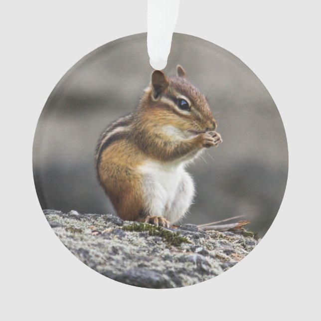 OstChipmunk Ornament (Vorderseite)