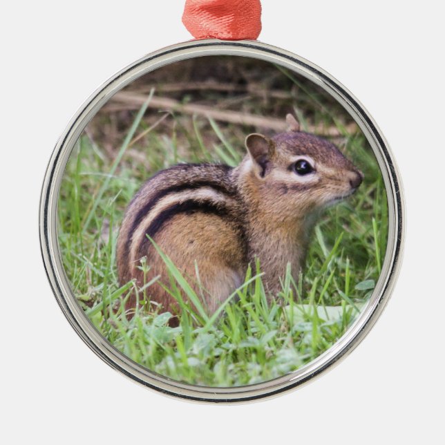 OstChipmunk Ornament Aus Metall (Vorne)
