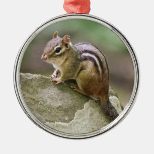 OstChipmunk Silbernes Ornament