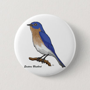 OSTdrossel Button