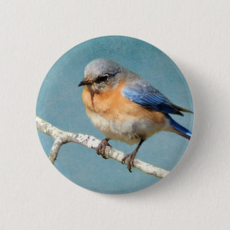 Ostdrossel Button