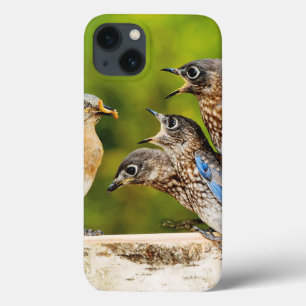 Ostdrossel Case-Mate iPhone Hülle