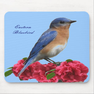 Ostdrossel-Kamelie Mousepad