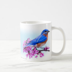 Ostdrossel mit Hartriegel und redbud Tasse