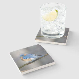 Ostdrossel-Stein-Untersetzer Steinuntersetzer