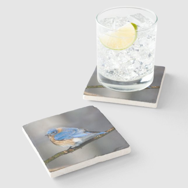 Ostdrossel-Stein-Untersetzer Steinuntersetzer (Seitenansicht)