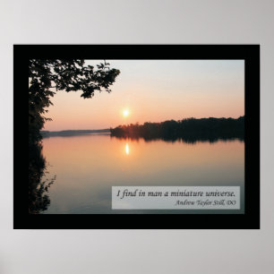 Osteopathic Zitate und Poster