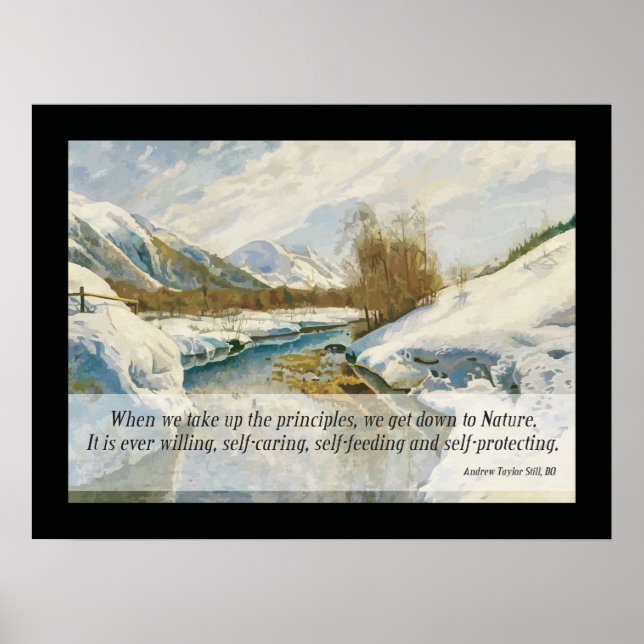 Osteopathischer Nature Zitat von A.T. Poster (Vorne)