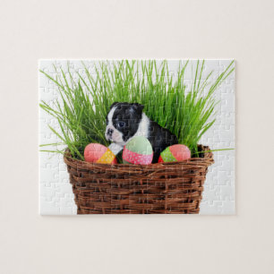 Oster Boston Terrier Hund Puzzle