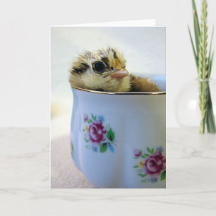 Oster-Ei-Leger-Küken in Tasse Grußkarte für alle A Feiertagskarte
