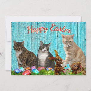 Oster-Flatcard - Katzen und Hasen Feiertagskarte