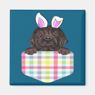 Oster-Karo-Newfoundland-Hasen-Hund-Illustration Magnet