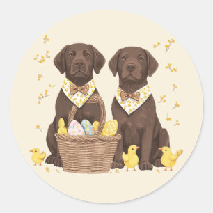 Oster-Schokoladen-Labrador-Retriever-Hunde Runder Aufkleber