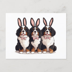 Osterberner Hunde Postkarte