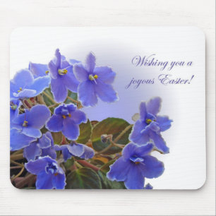 Osterblaue afrikanische Violetten Mousepad