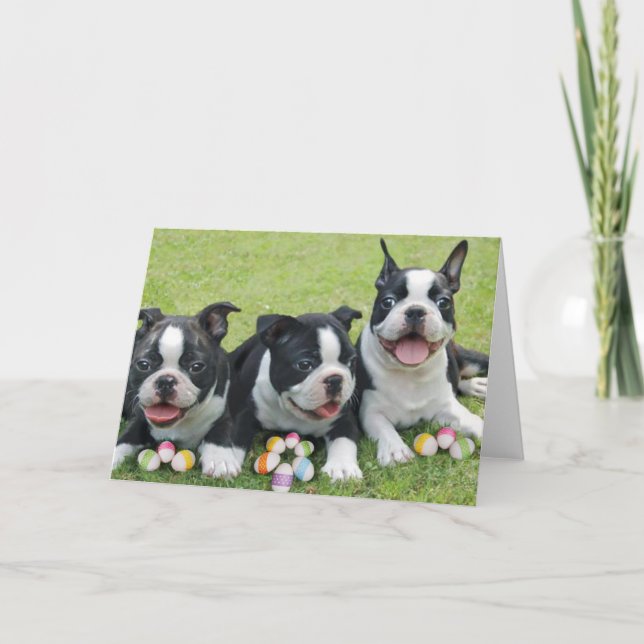 Osterbostoner Terrier Feiertagskarte (Vorderseite)