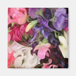 OsterBouquet Magnet