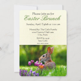 Osterbrunch mit Wild Rabbit Holiday Einladung
