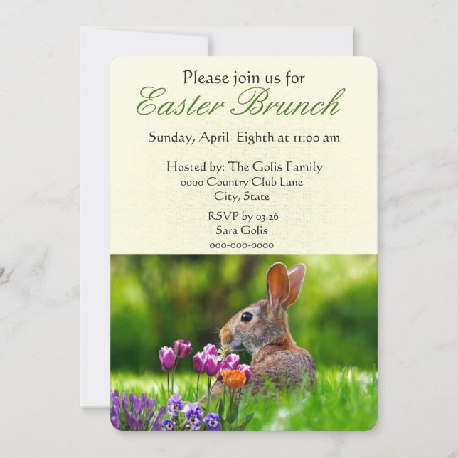 Osterbrunch mit Wild Rabbit Holiday Einladung (Vorderseite)