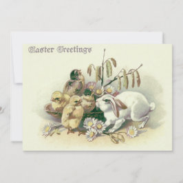 Osterbunny Chick Daisy Einladung