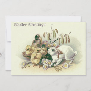 Osterbunny Chick Daisy Einladung