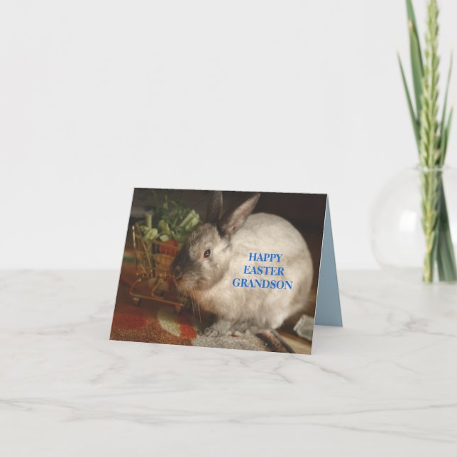 OSTERBUNNY-KARTE FÜR GRANDSON DANKESKARTE (Vorderseite)