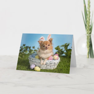 Osterchihuahua Feiertagskarte