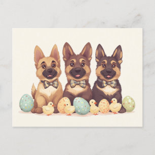 Osterdeutsche Schäferhunde Postkarte