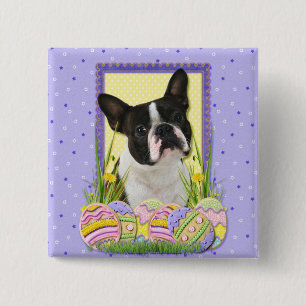 Osterei-Plätzchen - Boston Terrier Button