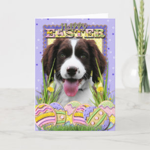 Osterei-Plätzchen - englischer SpringerSpaniel Feiertagskarte