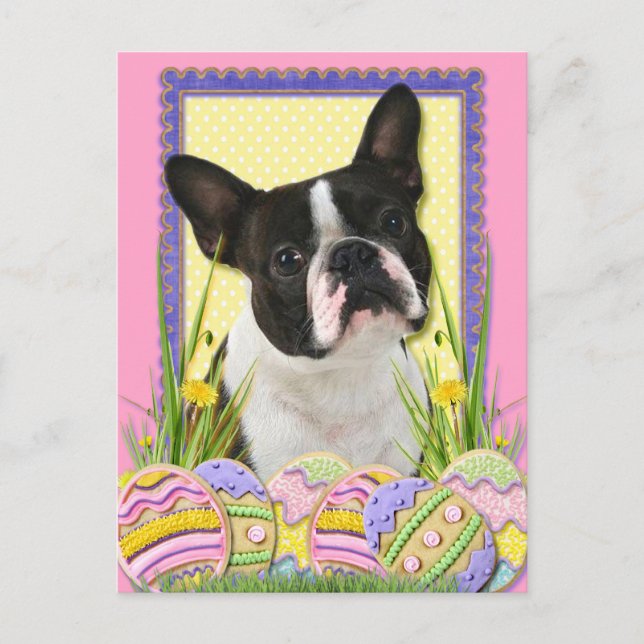 Ostereier - Boston Terrier Feiertagspostkarte (Vorderseite)
