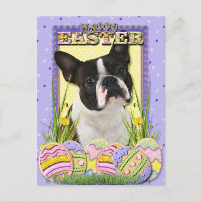 Ostereier - Boston Terrier Feiertagspostkarte (Vorderseite)