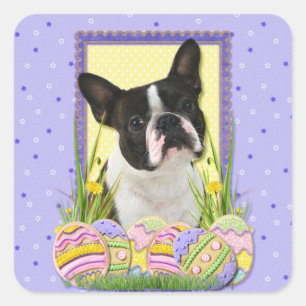 Ostereier - Boston Terrier Quadratischer Aufkleber