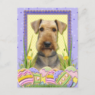 Ostereier-Cookies - Airedale Feiertagspostkarte